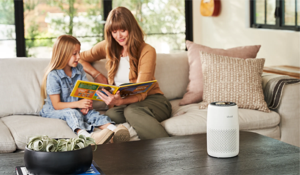 Levoit Frühling-Allergieschutz-Guide