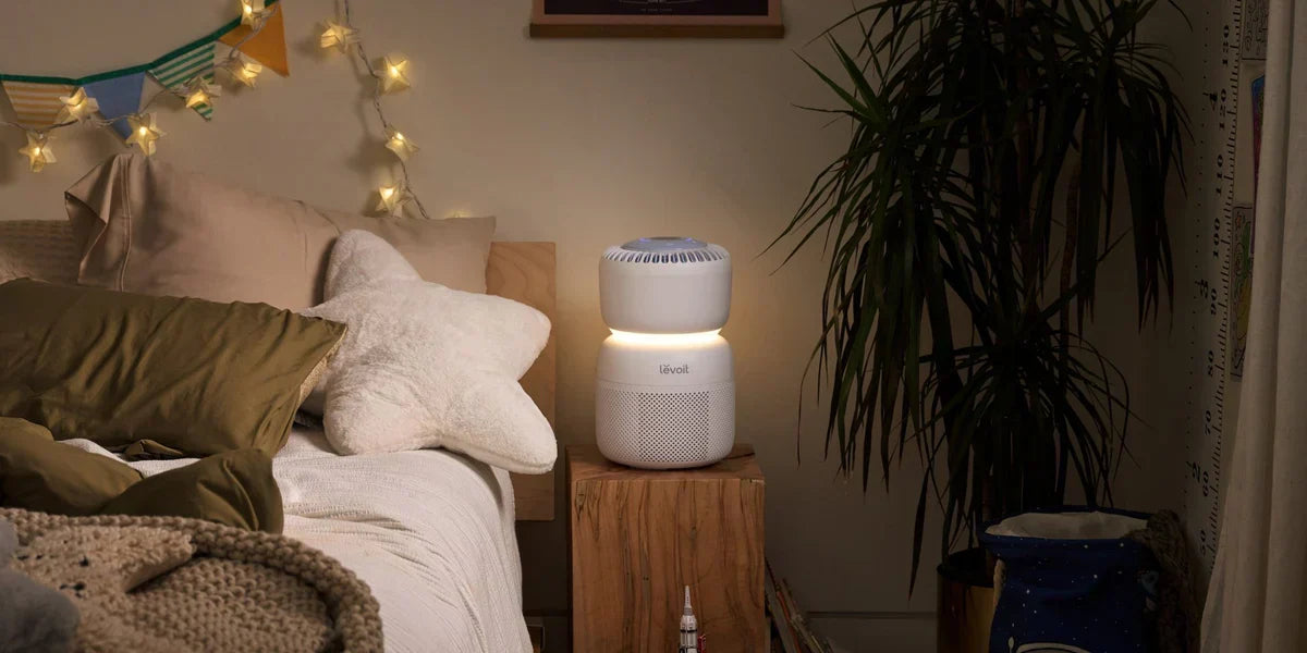 Entfernen Luftreiniger VOCs? Ein vollständiger Leitfaden