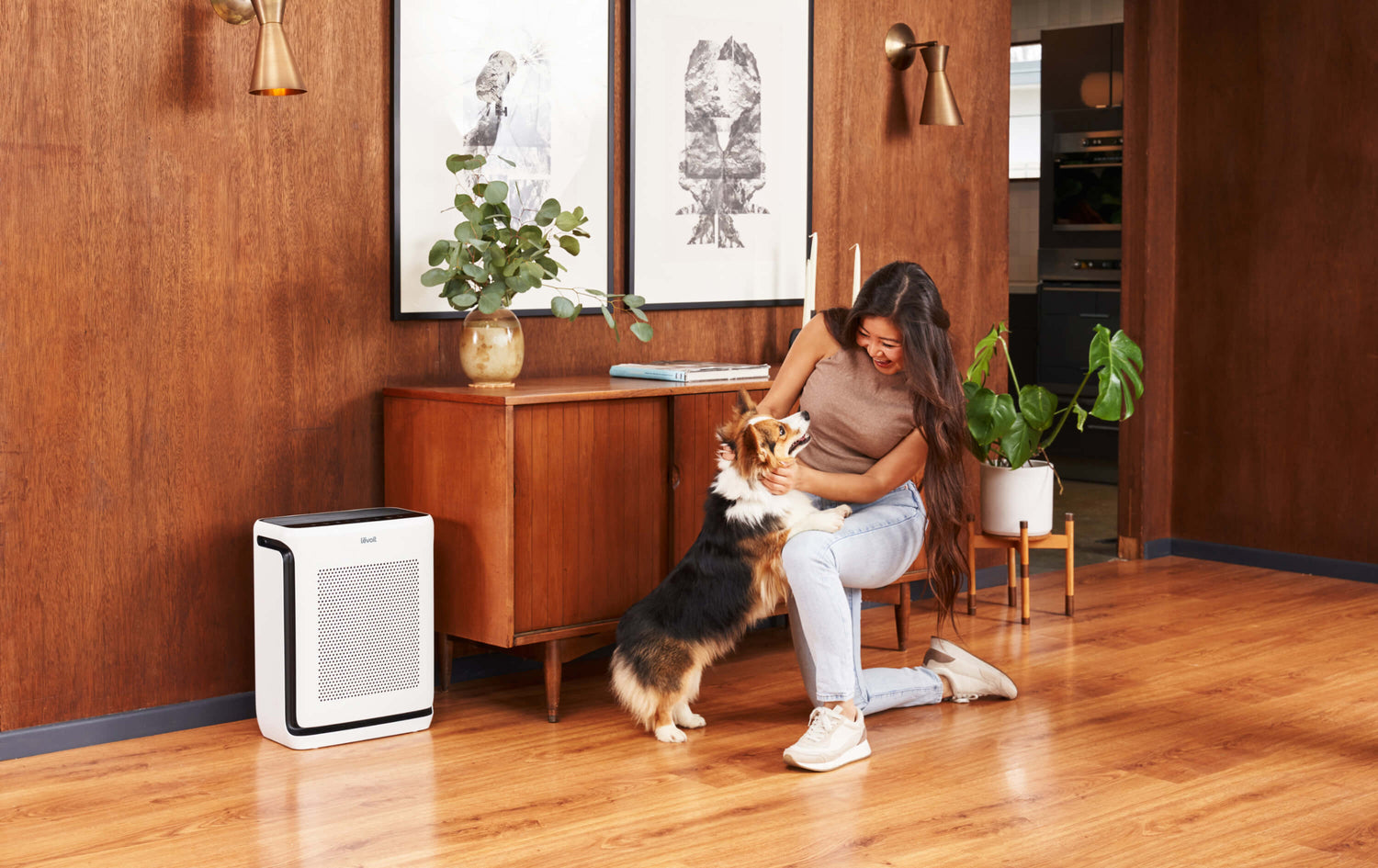 Levoit luftreiniger gegen gerüche