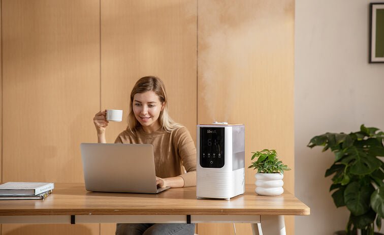 Levoit luftbefeuchter büro