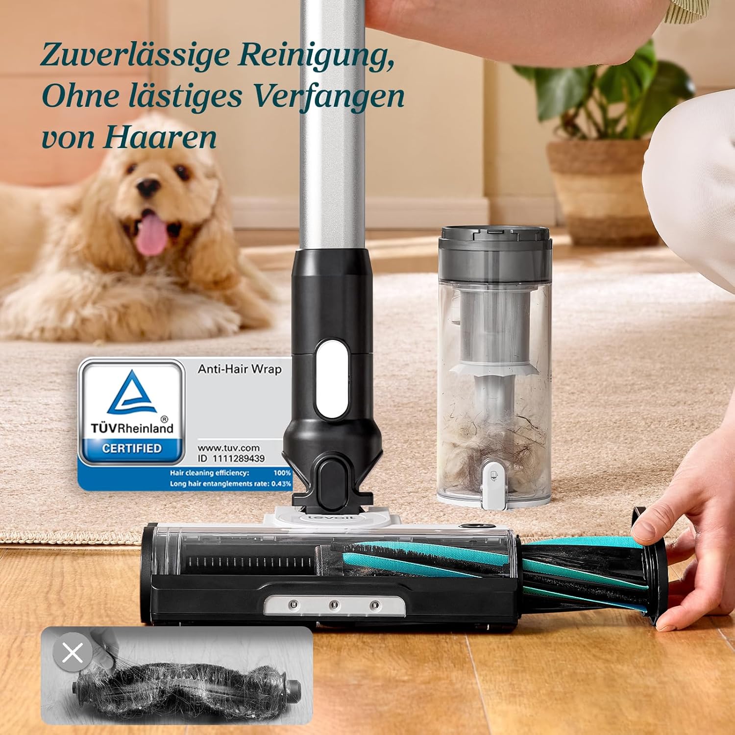 Levoit LVAC-200 Akku Staubsauger mit Anti-Haar-Verwicklung, TÜV-zertifiziert für zuverlässige Reinigung von Tierhaaren.