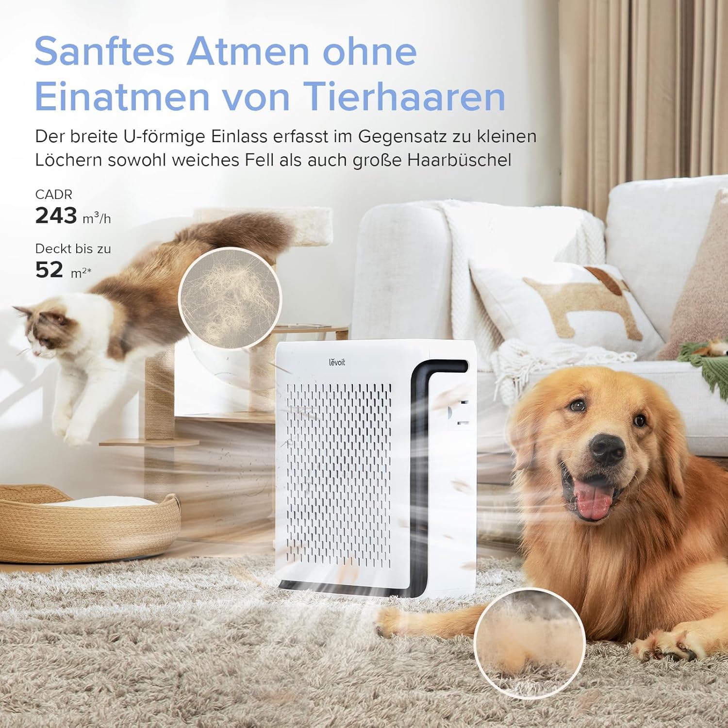 staubsauger für tierhaare
