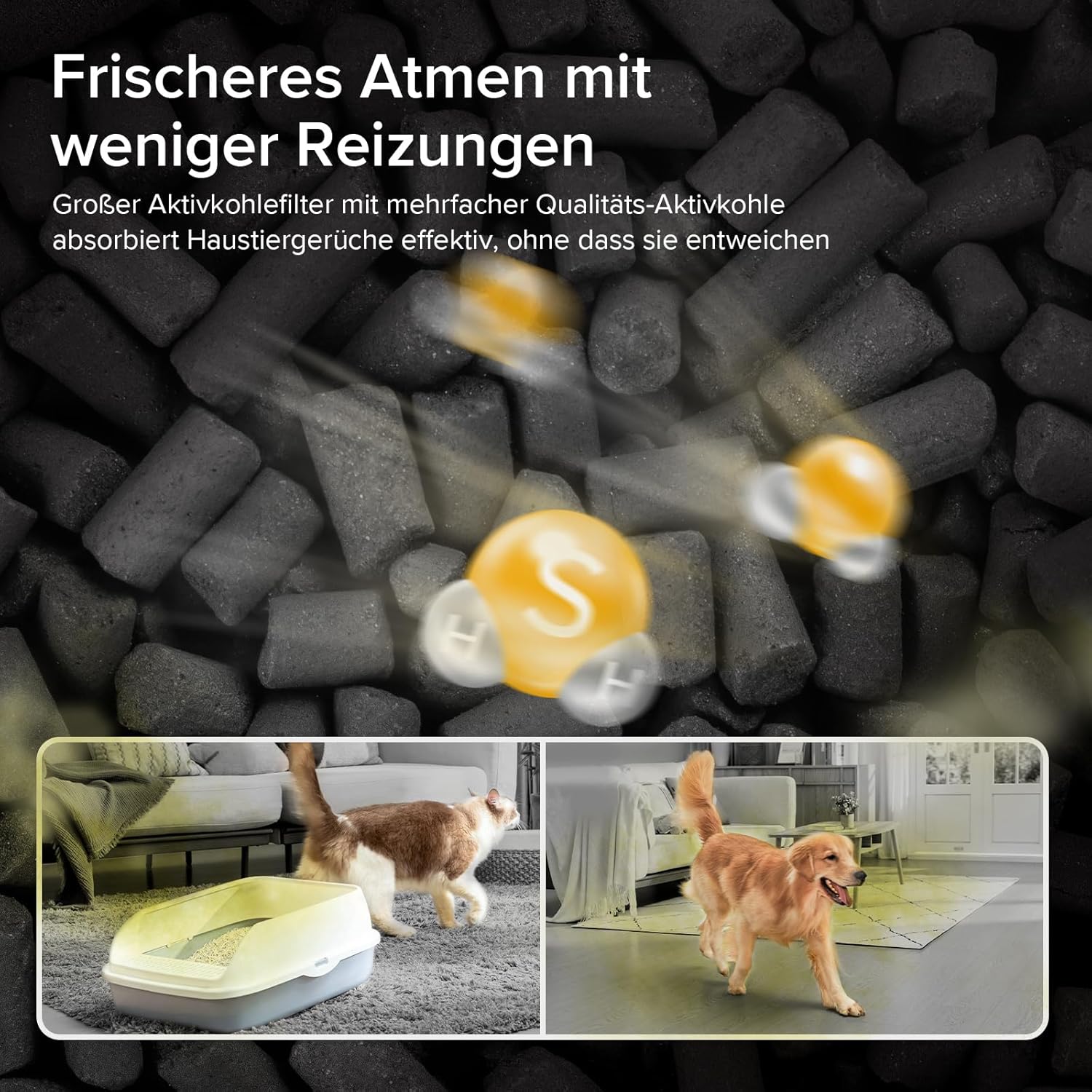 Levoit Vital 100S Luftreiniger mit großem Aktivkohlefilter entfernt effektiv Haustiergerüche von Hund und Katze.