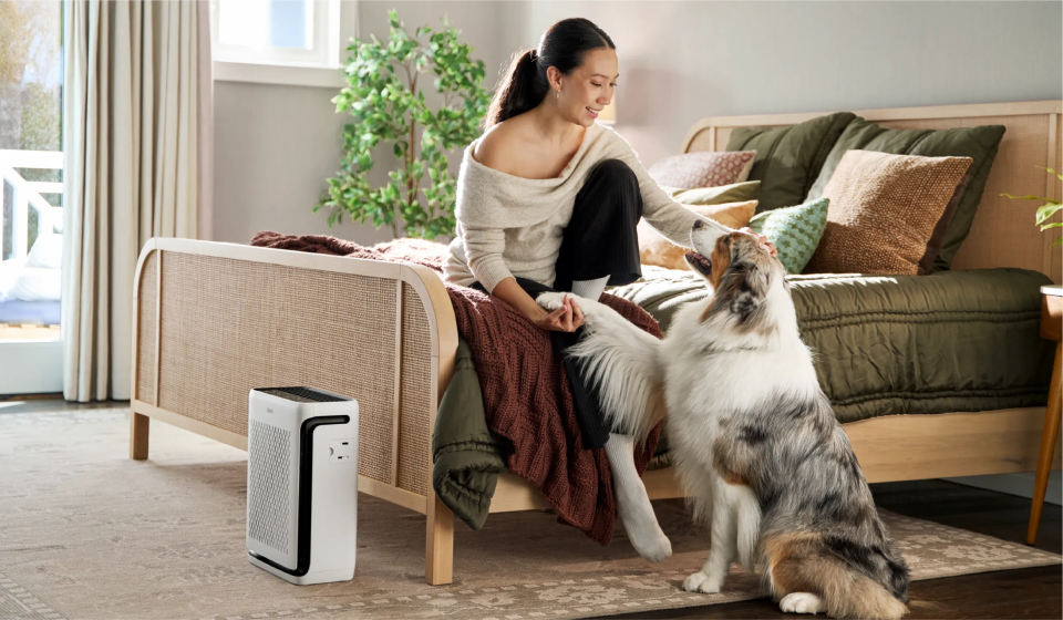 Levoits beste Luftreiniger für Haustiere im Jahr 2026