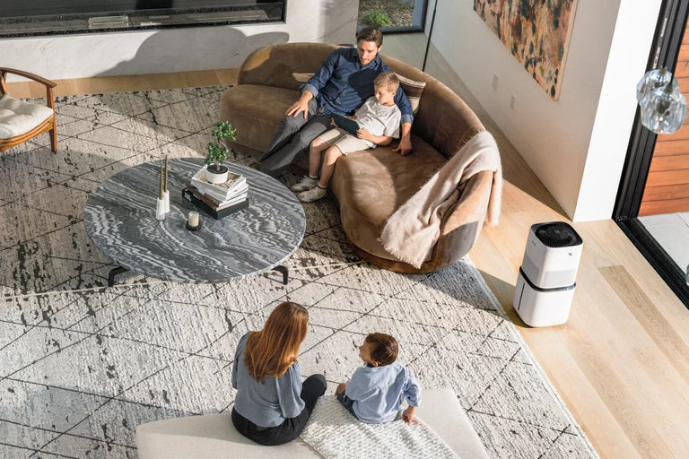 Tierhaare & Allergene: Der ultimative Leitfaden für ein saubereres Zuhause