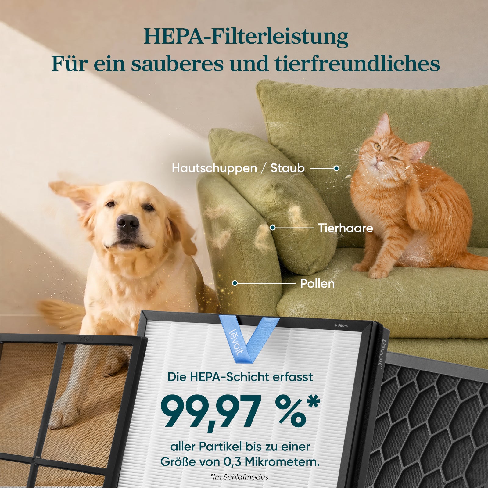 LEVOIT Vital Pet Pro Luftreiniger für Haustiere und große Räume