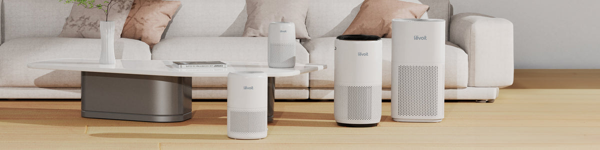 Über Levoit Deutschland